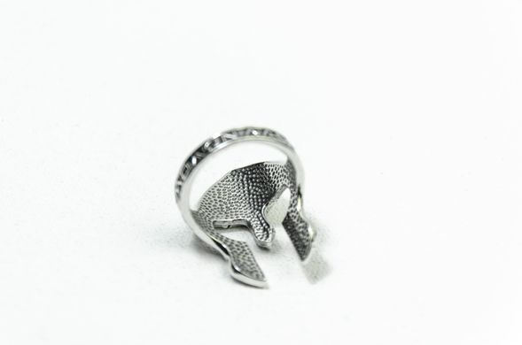 Men's silver ring "Molon labe"