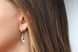 Swarovski Silver Earrings